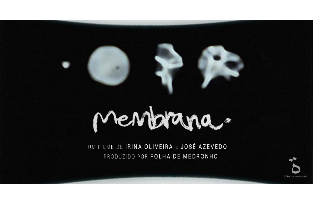 Exibição de “membrana”, de Irina Oliveira e José Azev...