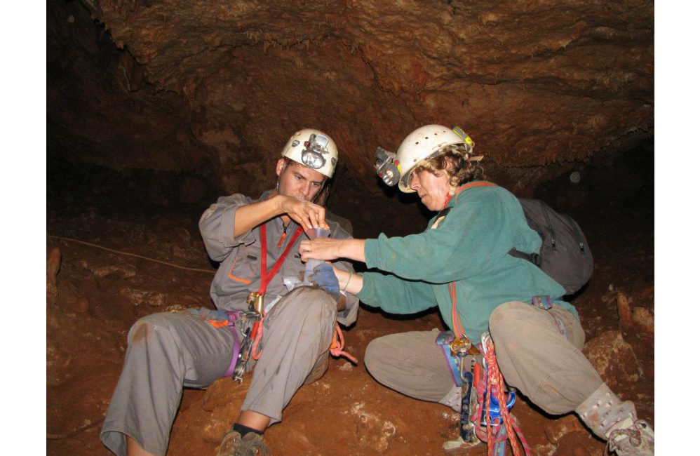 Projecto SIPCLIP | Portal do Associativismo - Município de ...