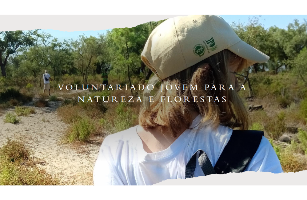Programa Voluntariado Jovem para a Natureza e Florestas 2025...