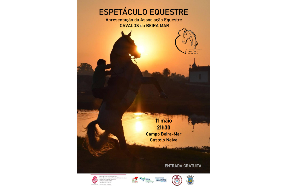 Espetáculo Equestre | Portal do Associativismo - Município...