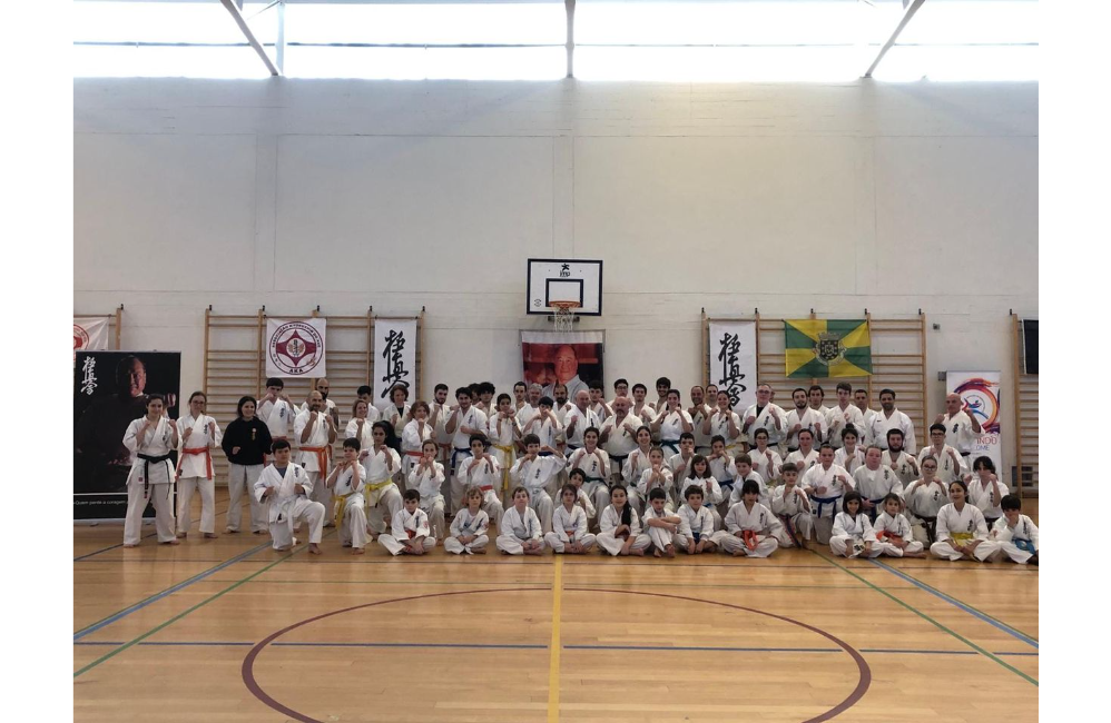 Estágio Técnico de Karate Kyokushin na Trofa | Portal do A...