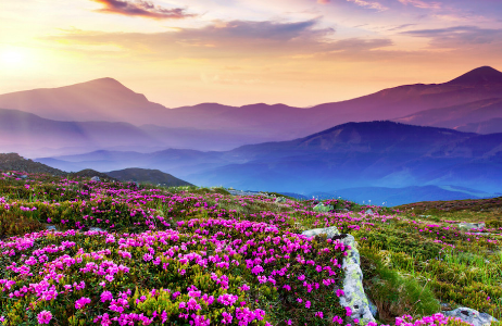 noticia de uma entidade do projecto | Portal do Associativis...